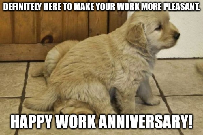 work anniversary funny quotes