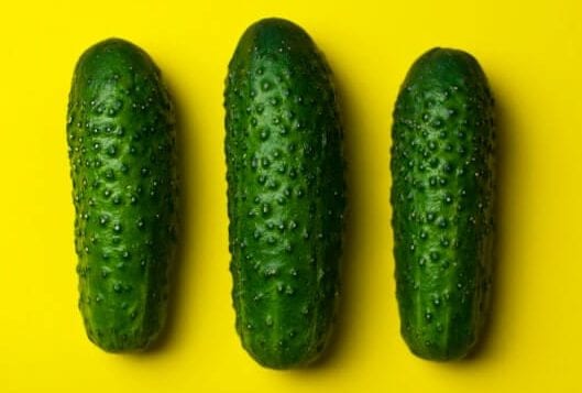 Cucumber