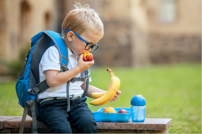 The Healthy Kids Snack Box (17-20 Snacks)