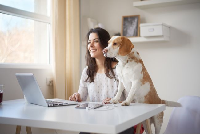 21 Home Office Setup Ideas (🚀 Your WFH Productivity)