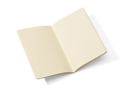 Moleskine Volant Journal