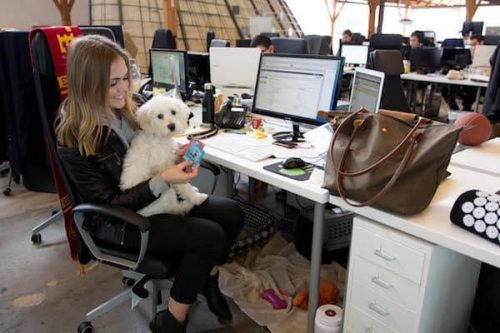 https://snacknation.com/wp-content/uploads/2021/03/Dogs-In-Office-e1614899075665.jpg