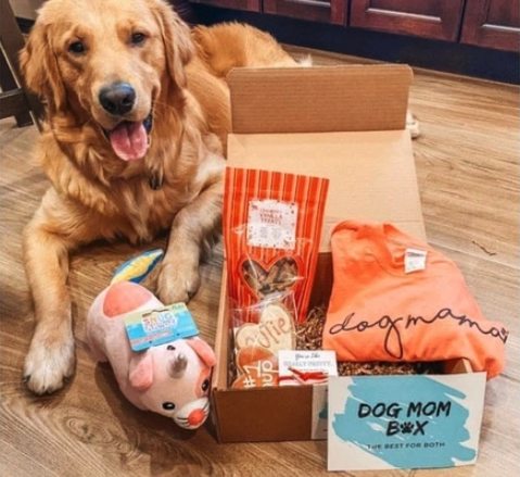 Dog Mom Box