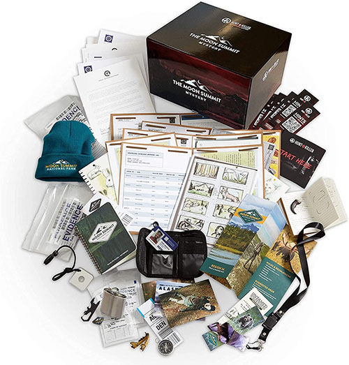 Number - Murder Mystery Activity Pack