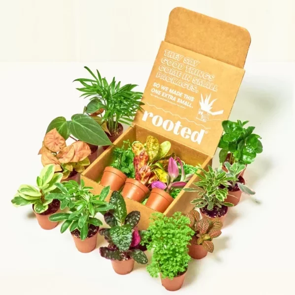 Baby Box + Planter Set