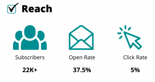 How to measure the success of a newsletter advertising campaign