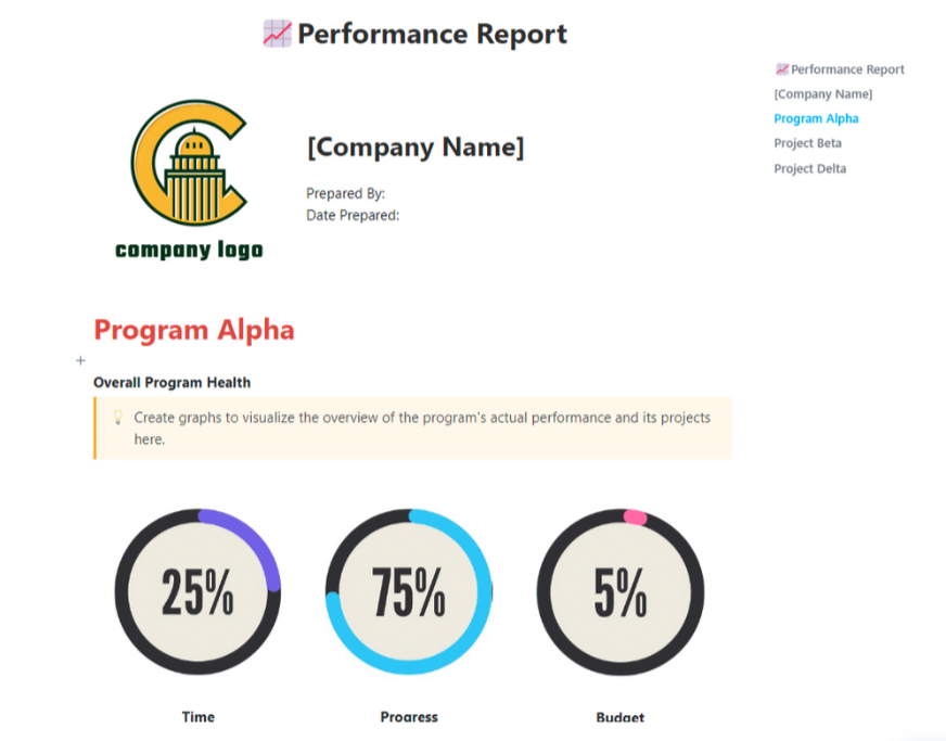 Performance Report Template