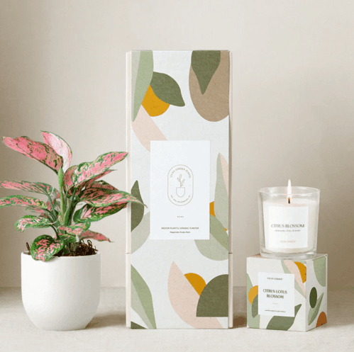 Plant - Set