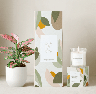 Lulas-Garden-Gift-Set