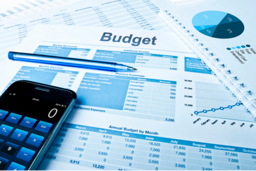 Software Budget