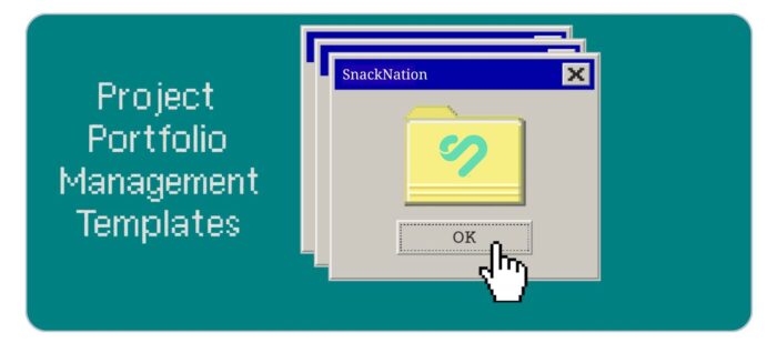 Project Portfolio Management Templates